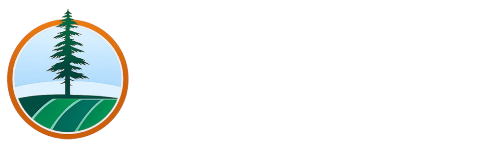 Northbridge Strategies logo