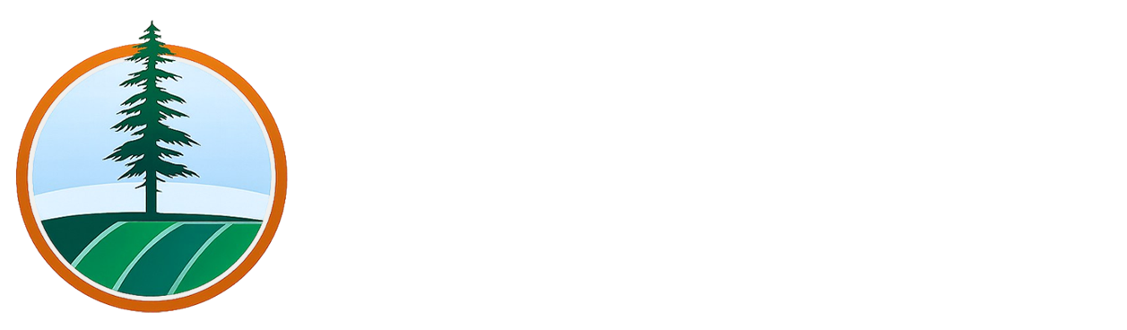 Northbridge Strategies logo